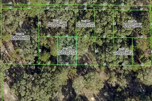 Rock Duck Ave, Brooksville, FL 34614 - Photo 1