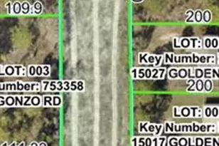 Quigley Ave, Brooksville, FL 34614 - Photo 1