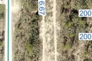 Snowy Plover Ave, Brooksville, FL 34614 - Photo 1