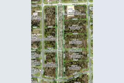 Pacific Nighthawk Avenue, Brooksville, FL 34614 - Photo 1