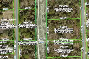 Pacific Nighthawk Ave, Brooksville, FL 34614 - Photo 1