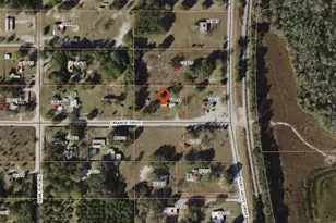17911 Orange Dr, Spring Hill, FL 34610 - Photo 51