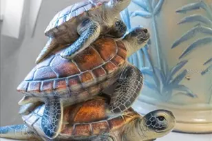 5492 SW 358 Hwy, Steinhatchee, FL 32359 - Photo 47