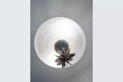 5492 SW 358 Highway, Steinhatchee, FL 32359 - Photo 49