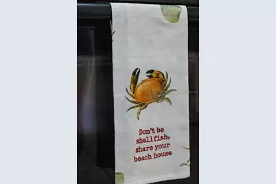 5492 SW 358 Highway, Steinhatchee, FL 32359 - Photo 63