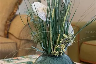 5492 SW 358 Hwy, Steinhatchee, FL 32359 - Photo 37