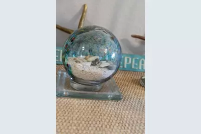 5492 SW 358 Highway, Steinhatchee, FL 32359 - Photo 51