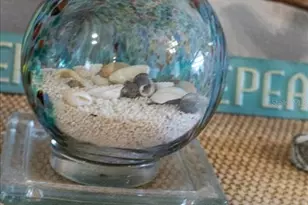 5492 SW 358 Hwy, Steinhatchee, FL 32359 - Photo 51