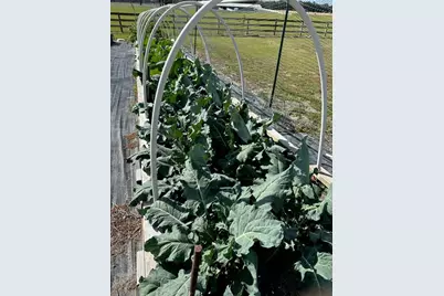 10151 NW 70th Street, Chiefland, FL 32626 - Photo 81