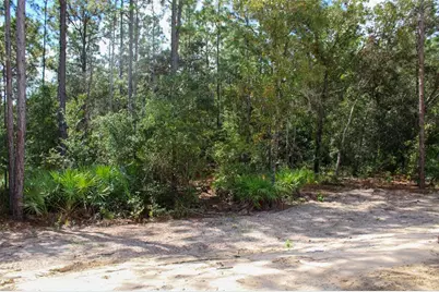 3818 W Birds Nest Drive, Beverly Hills, FL 34465 - Photo 5