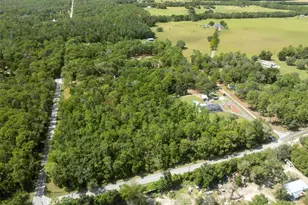 16481 Oakview Dr, Brooksville, FL 34601 - Photo 53