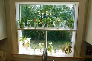 6490 Evanston St, Weeki Wachee, FL 34613 - Photo 19