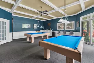 1001 Spoontail Ct, Tarpon Springs, FL 34689 - Photo 49