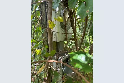 4014 SW 125th Avenue, Webster, FL 33597 - Photo 5