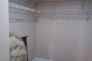 11204 Elmfield Dr, Tampa, FL 33625 - Photo 17