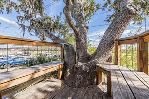 3016 Alachua Pl, New Port Richey, FL 34655 - Photo 59