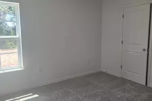 1145 Red Buckeye Ct, Deland, FL 32720 - Photo 15