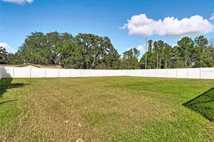 422 Challice Dr, Spring Hill, FL 34609 - Photo 77