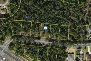 11 Oak Village Blvd, Homosassa, FL 34446 - Photo 1