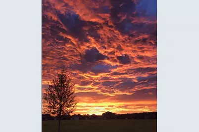 988 Scarlet Plume Lane, Brooksville, FL 34604 - Photo 43