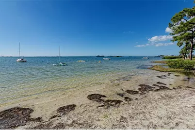 2700 Bayshore Boulevard #539, Dunedin, FL 34698 - Photo 95