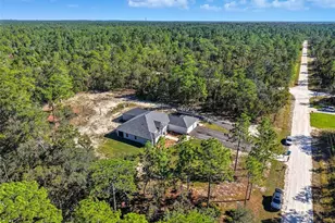 18166 Ramsey Rd, Weeki Wachee, FL 34614 - Photo 51