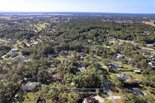 15405 Vanessa Ln, Brooksville, FL 34604 - Photo 71