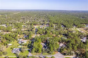 15405 Vanessa Ln, Brooksville, FL 34604 - Photo 59