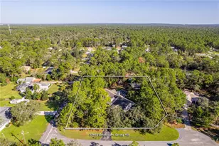 15405 Vanessa Ln, Brooksville, FL 34604 - Photo 15