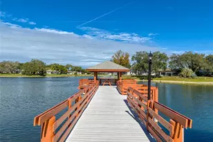 11241 Versailles Ln, Port Richey, FL 34668 - Photo 47