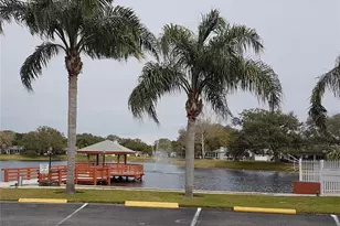 11241 Versailles Ln, Port Richey, FL 34668 - Photo 31