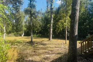 843 SW Central Terrace, Fort White, FL 32038 - Photo 5