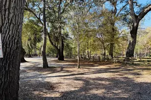 843 SW Central Terrace, Fort White, FL 32038 - Photo 9