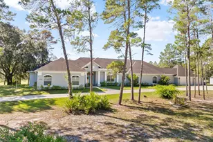 11200 Woodland Waters Blvd, Weeki Wachee, FL 34613 - Photo 1