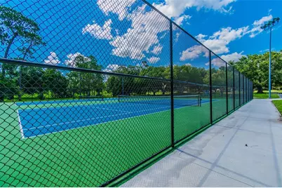 844 Park Court, Palm Harbor, FL 34683 - Photo 69