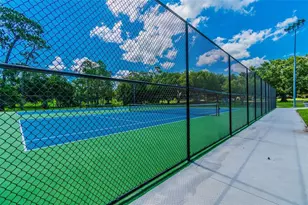 844 Park Ct, Palm Harbor, FL 34683 - Photo 69