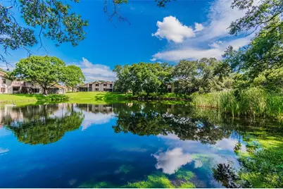 844 Park Court, Palm Harbor, FL 34683 - Photo 61