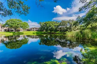 844 Park Ct, Palm Harbor, FL 34683 - Photo 61