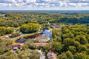 12035 Proctor Loop, New Port Richey, FL 34654 - Photo 59