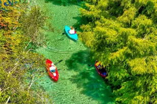 6502 River Run Blvd, Weeki Wachee, FL 34607 - Photo 47