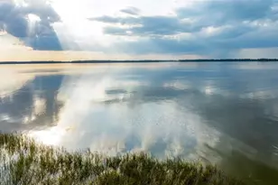 4656 Trident Dr, Tavares, FL 32778 - Photo 29