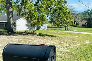 2013 Finland Dr, Spring Hill, FL 34609 - Photo 59