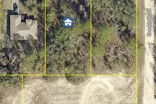 13012 Rock Duck Ave, Weeki Wachee, FL 34614 - Photo 1