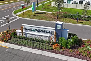 31511 Ancient Sage Rd, Wesley Chapel, FL 33545 - Photo 9