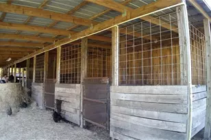 18635 Phillips Rd, Brooksville, FL 34604 - Photo 3