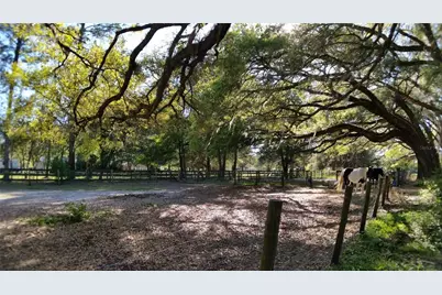 18635 Phillips Road, Brooksville, FL 34604 - Photo 13