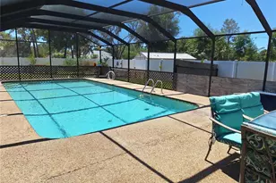 9415 Indale Dr, New Port Richey, FL 34654 - Photo 49