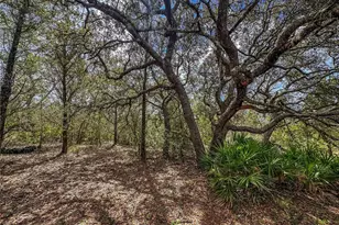 12060 Ehrenwald Dr, Weeki Wachee, FL 34613 - Photo 49