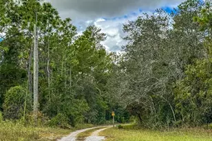 12060 Ehrenwald Dr, Weeki Wachee, FL 34613 - Photo 69