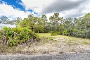 12060 Ehrenwald Dr, Weeki Wachee, FL 34613 - Photo 21